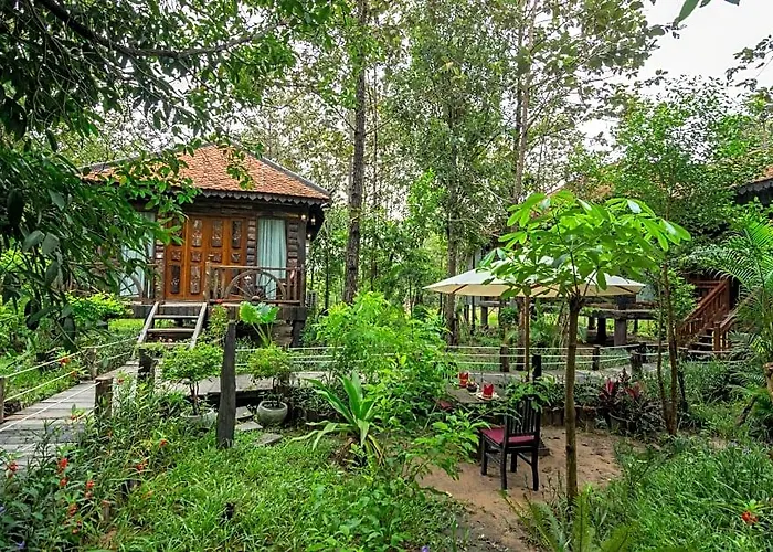 Bong Thom Forest