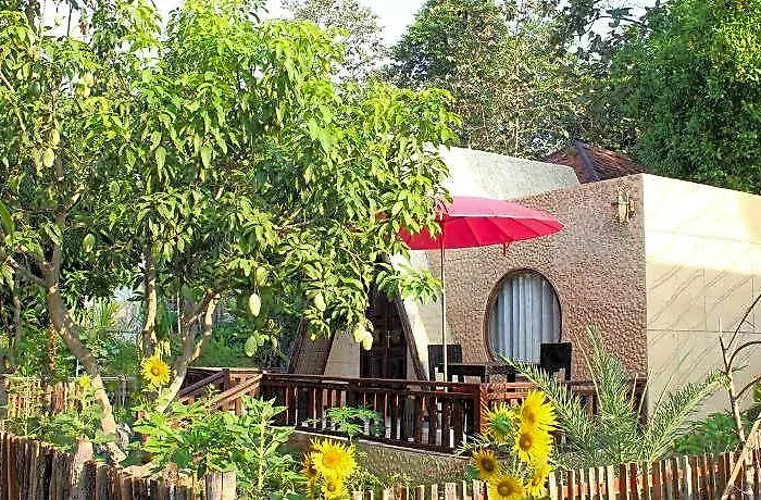Bong Thom Forest Siem Reap