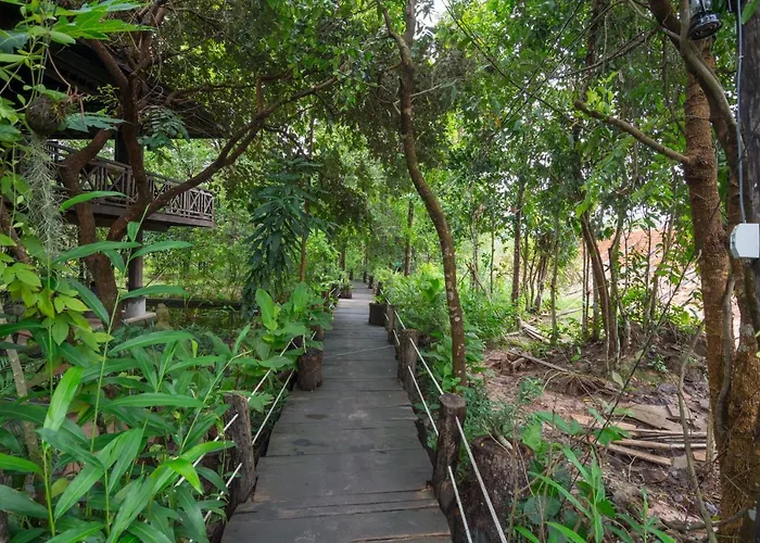 Bong Thom Forest Hotel