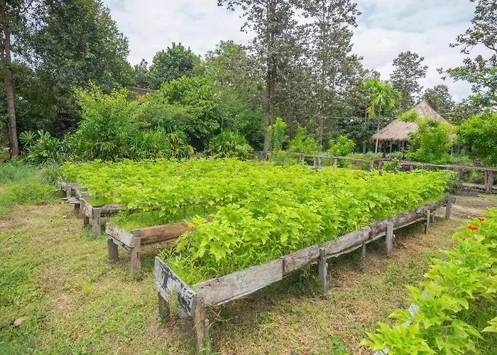 Bong Thom Forest Hotel