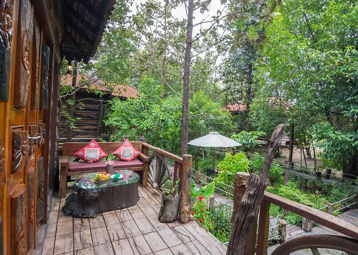 Bong Thom Forest Siem Reap